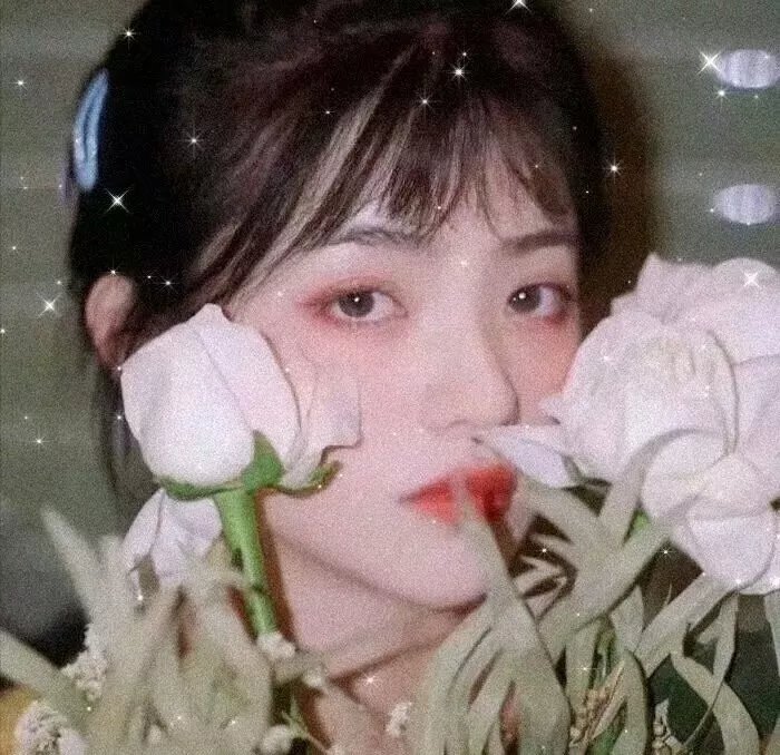 黑道小子巨星梦